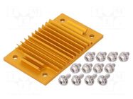 Heatsink: extruded; grilled; BGA; golden; L: 37mm; W: 58mm; H: 6.1mm Advanced Thermal Solutions