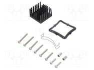 Heatsink: extruded; grilled; black; L: 31mm; W: 31mm; H: 19.5mm Advanced Thermal Solutions