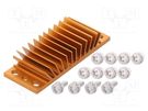 Heatsink: extruded; grilled; BGA; golden; L: 23mm; W: 58mm; H: 11.4mm Advanced Thermal Solutions