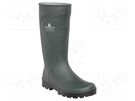 Boots; Size: 47; green; PVC; bad weather,slip,temperature DELTA PLUS