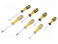 Kit: screwdrivers; Phillips,slot; 7pcs. C.K