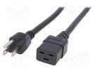 Cable; 3x14AWG; IEC C19 female,NEMA 5-15 (B) plug; PVC; 2m; black LIAN DUNG