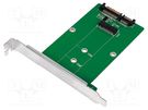 SATA to M.2 adapter; silver; Support: SATA,SSD LOGILINK