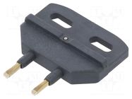 Standard key; DS PIZZATO ELETTRICA