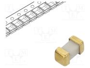 Fuse: fuse; ultra rapid; 1A; 48VAC; 75V; 75VDC; SMD; ceramic; 458 LITTELFUSE