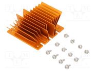 Heatsink: extruded; grilled; BGA; golden; L: 61mm; W: 58mm; H: 22.9mm Advanced Thermal Solutions