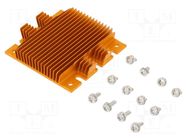 Heatsink: extruded; grilled; BGA; golden; L: 58mm; W: 61mm; H: 11.4mm Advanced Thermal Solutions