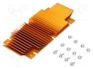 Heatsink: extruded; grilled; BGA; golden; L: 61mm; W: 118mm; H: 11.4mm Advanced Thermal Solutions