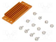 Heatsink: extruded; grilled; BGA; golden; L: 58mm; W: 23mm; H: 6.1mm Advanced Thermal Solutions