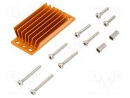 Heatsink: extruded; grilled; BGA; golden; L: 58mm; W: 23mm; H: 11.4mm Advanced Thermal Solutions