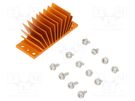 Heatsink: extruded; grilled; BGA; golden; L: 23mm; W: 58mm; H: 22.9mm Advanced Thermal Solutions