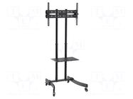 LCD/LED holder; free-standing handle; 40kg LOGILINK