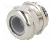 Cable gland; PG29; IP68; brass HUMMEL