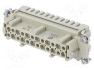 Connector: HDC; contact insert; female; Han Hv E®; PIN: 12(10+2) HARTING