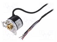 Encoder: incremental; Usup: 12÷24VDC; 1024imp/revol; IP50; 2m AUTONICS