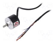 Encoder: incremental; Usup: 12÷24VDC; 5000imp/revol; IP50; 2m AUTONICS