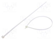 Cable tie; L: 450mm; W: 7.6mm; polyamide; 533N; natural; Ømax: 130mm FIX&FASTEN