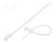 Cable tie; with a hole for screw mounting; L: 112mm; W: 2.5mm FIX&FASTEN