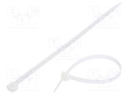 Cable tie; L: 250mm; W: 7.6mm; polyamide; 533N; natural; Ømax: 66mm FIX&FASTEN