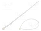 Cable tie; L: 400mm; W: 9mm; polyamide; 778N; natural; Ømax: 105mm FIX&FASTEN