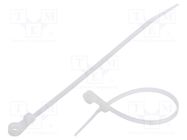 Cable tie; with a hole for screw mounting; L: 170mm; W: 3.6mm FIX&FASTEN