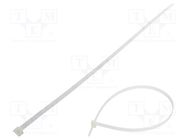Cable tie; L: 530mm; W: 9mm; polyamide; 778N; natural; Ømax: 152mm FIX&FASTEN
