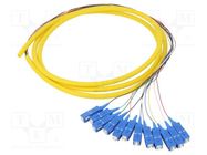 Optic fiber pigtail; SC/UPC,fiber; 2m; Input: fiber x12 QOLTEC