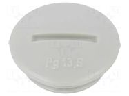 Stopper; PG13,5; polystyrene; light grey; 6.5mm OBO BETTERMANN