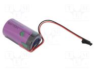 Battery: lithium (LTC); D; 3.6V; 19000mAh; non-rechargeable 