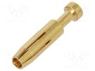 Contact; female; copper alloy; gold-plated; 0.37mm2; 22AWG; bulk DEGSON ELECTRONICS