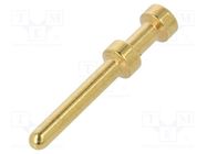 Contact; male; copper alloy; gold-plated; 0.37mm2; 22AWG; bulk DEGSON ELECTRONICS