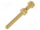 Contact; male; copper alloy; gold-plated; 1mm2; 18AWG; bulk; 16A DEGSON ELECTRONICS