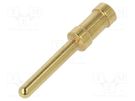 Contact; male; copper alloy; gold-plated; 4mm2; 12AWG; bulk; 16A DEGSON ELECTRONICS