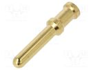 Contact; male; copper alloy; gold-plated; 6mm2; 10AWG; bulk; 40A DEGSON ELECTRONICS