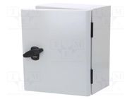 Enclosure: wall mounting; X: 250mm; Y: 300mm; Z: 150mm; Spacial S3DB 