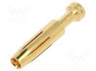 Contact; female; copper alloy; gold-plated; 0.75mm2; 18AWG; bulk DEGSON ELECTRONICS