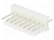 Connector: wire-board; socket; male; PIN: 8; MAS-CON; straight; THT PANCON