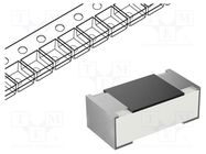 Resistor: thick film; SMD; 0402; 100Ω; 62.5mW; ±1%; -55÷155°C WALSIN