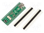 Dev.kit: ARM Texas; prototype board; Comp: TM4C123GH6PM MIKROE