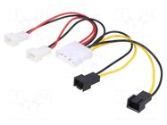 Cable: mains; 12V 3pin male x2,5V 3pin male x2,Molex male AKYGA