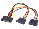 Cable: SATA; SATA plug,SATA L-Type plug x2; 0.2m; SATA III QOLTEC