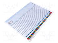File dividers numbered; Marking: 1-31 ESSELTE