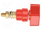 Laboratory clamp; red; 1kVDC; 100A; on panel,screw; brass; 81mm SCHÜTZINGER
