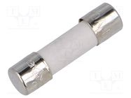 Fuse: fuse; time-lag; 10A; 250VAC; ceramic,cylindrical; 5x20mm CONQUER ELECTRONIC
