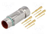 Connector: LS1; plug; PIN: 8(4+4); male; crimped; for cable; IP68 LAPP