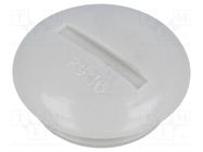 Stopper; PG16; polystyrene; light grey; 6.5mm OBO BETTERMANN