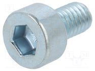 Screw; M3x5; 0.5; Head: cheese head; hex key; HEX 2,5mm; steel; zinc BOSSARD