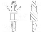 PCB distance; polyamide 66; L: 15.9mm; latch/latch; natural DREMEC