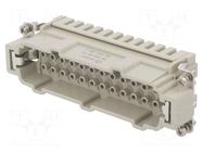 Connector: HDC; contact insert; male; DE; PIN: 24; 24+PE; size D24B DEGSON ELECTRONICS