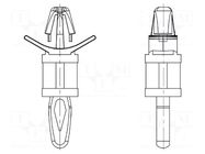 PCB distance; polyamide; L: 6.4mm; snap fastener; natural DREMEC